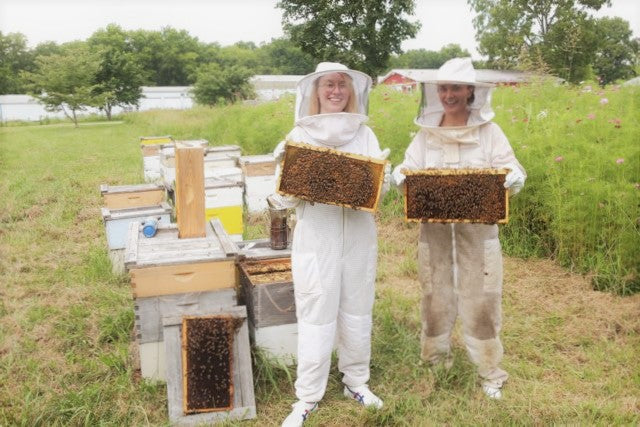 The Just World of Bees