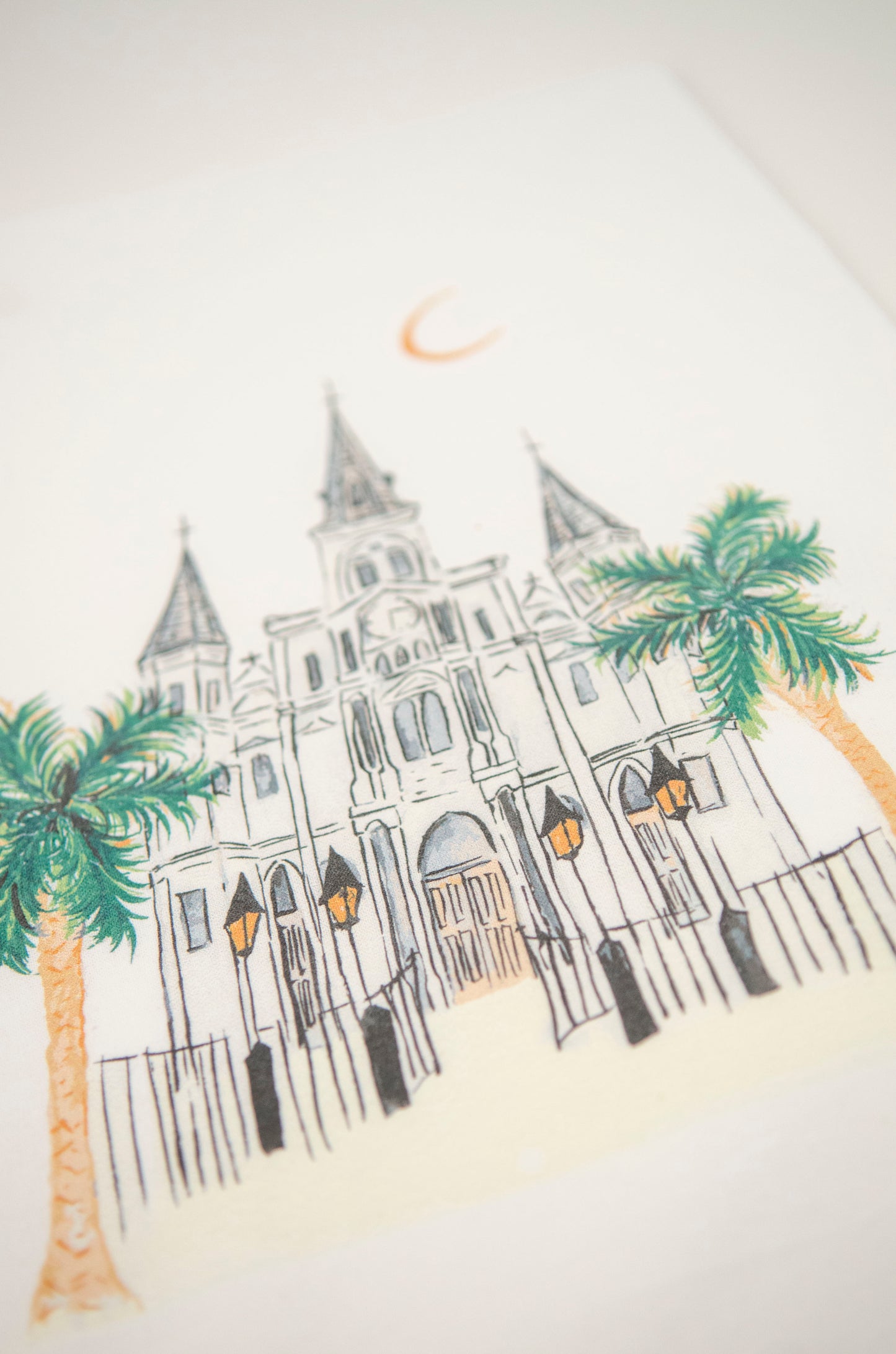 New Orleans Cathedral Towel