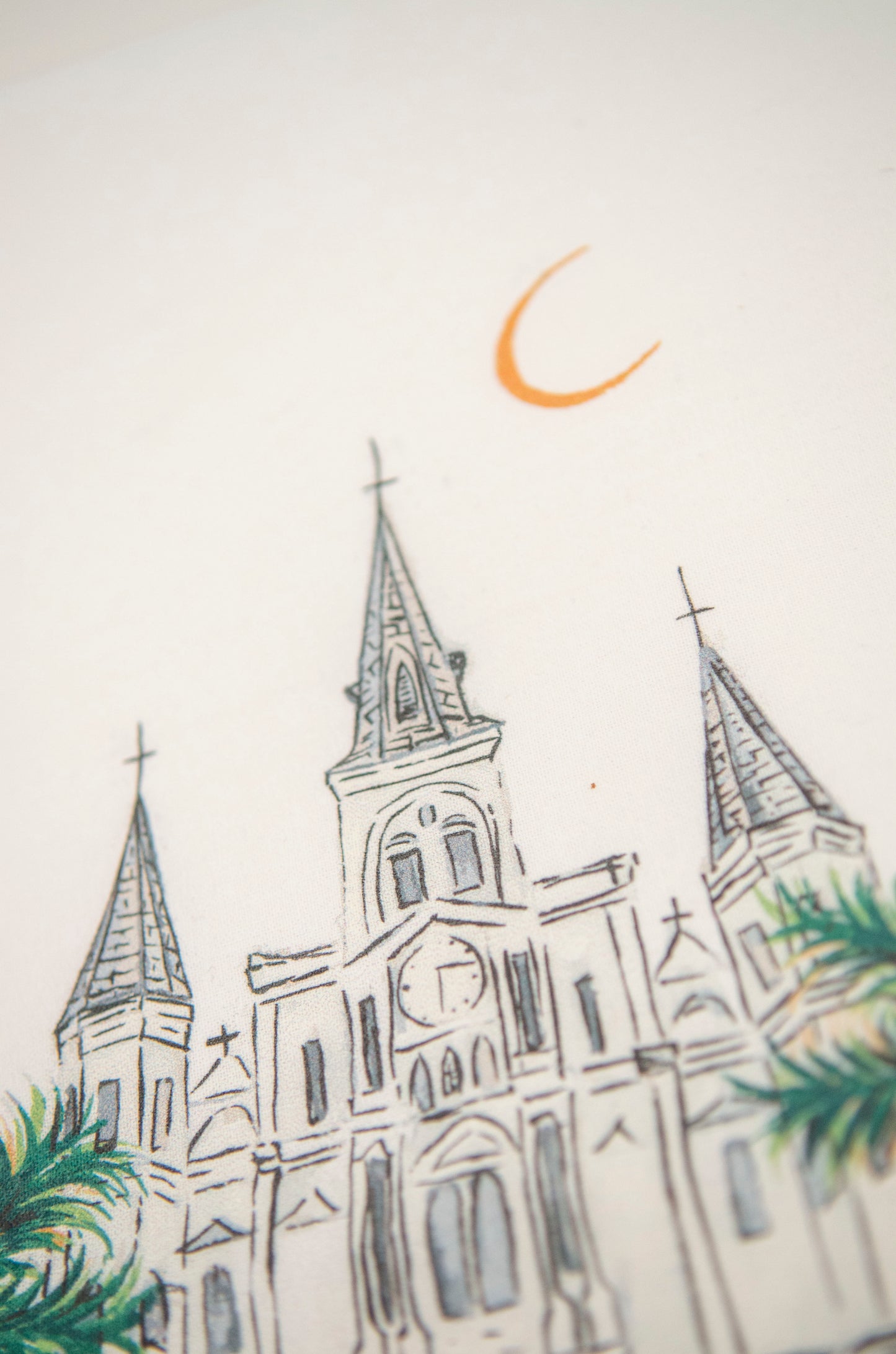 New Orleans Cathedral Towel